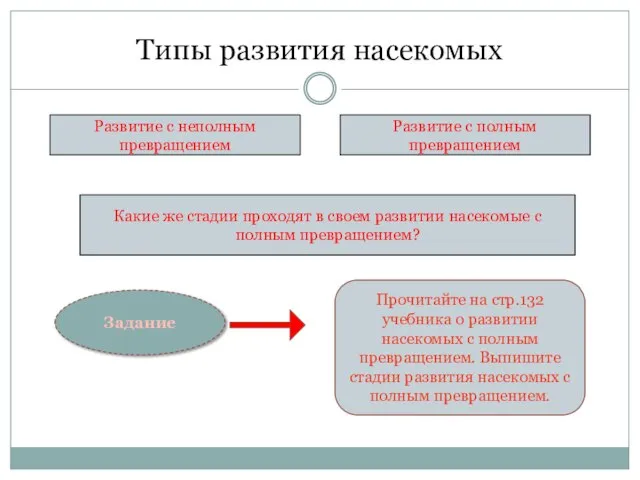 Типы развития насекомых Развитие с неполным превращением Развитие с полным превращением