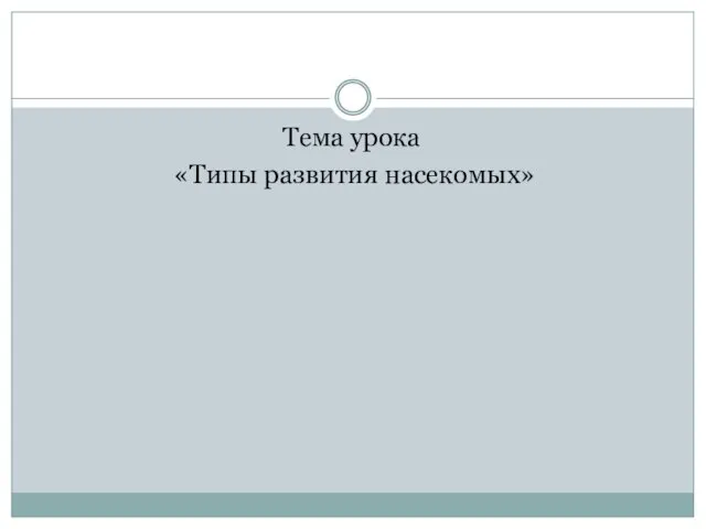 Тема урока «Типы развития насекомых»