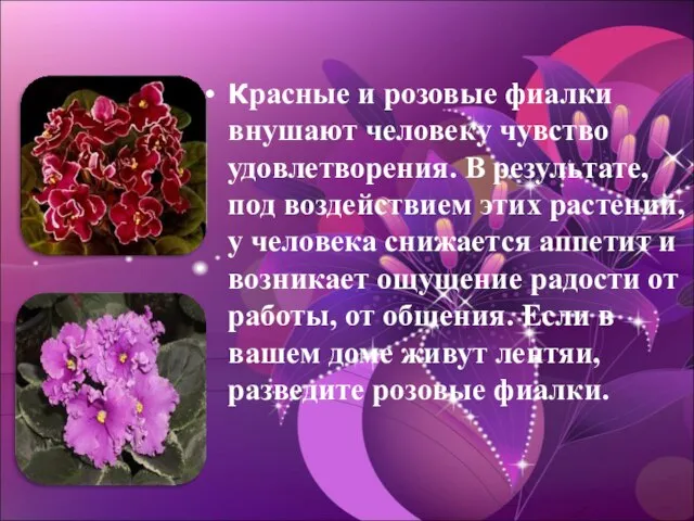 Красные и розовые фиалки внушают человеку чувство удовлетворения. В результате, под