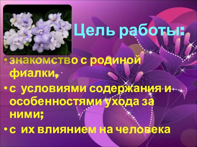 Цель работы: знакомство с родиной фиалки, с условиями содержания и особенностями