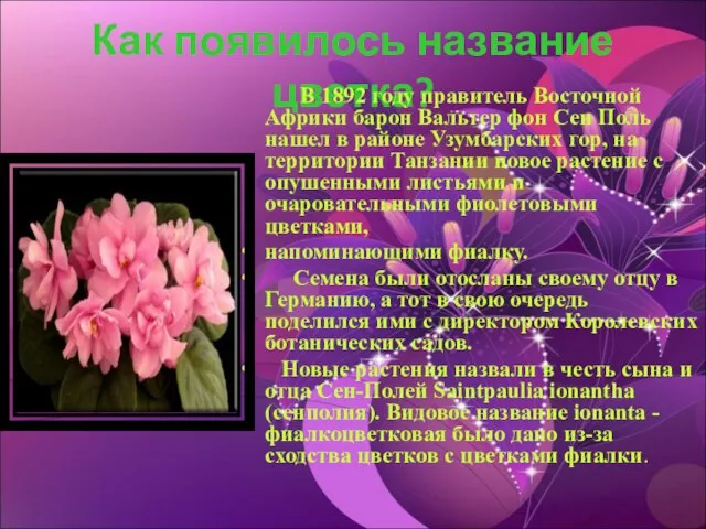 Как появилось название цветка? В 1892 году правитель Восточной Африки барон