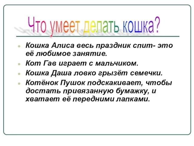 Кошка Алиса весь праздник спит- это её любимое занятие. Кот Гав