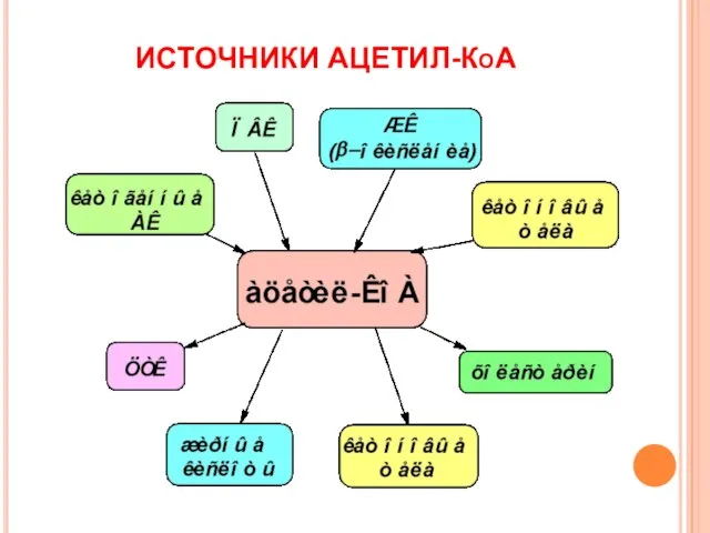 ИСТОЧНИКИ АЦЕТИЛ-КоА