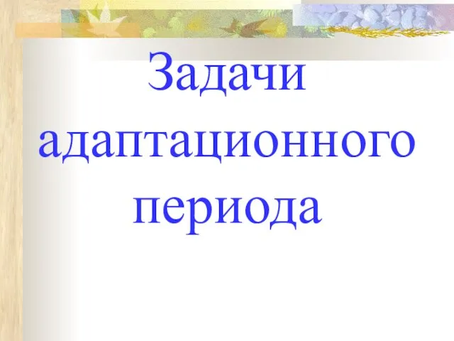 Задачи адаптационного периода