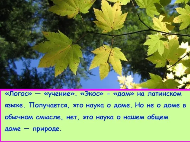 «Логос» — «учение». «Экос» - «дом» на латинском языке. Получается, это