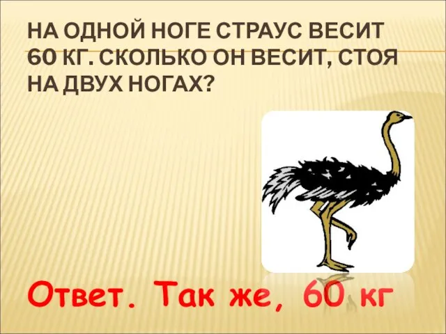 НА ОДНОЙ НОГЕ СТРАУС ВЕСИТ 60 КГ. СКОЛЬКО ОН ВЕСИТ, СТОЯ