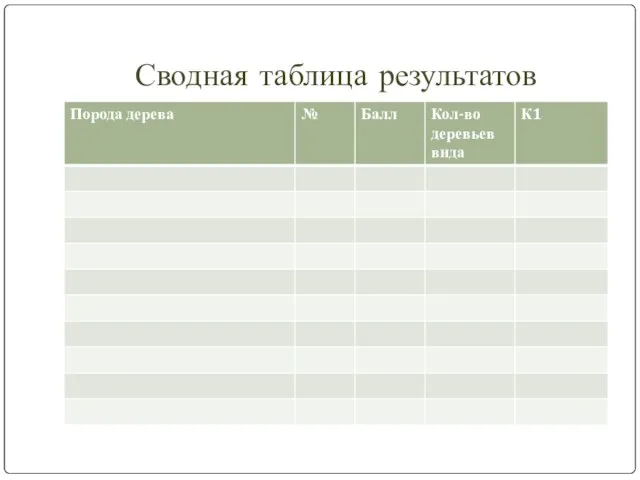 Сводная таблица результатов