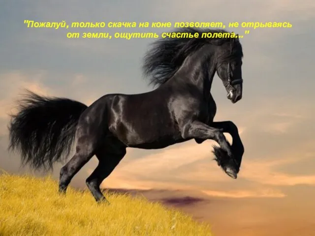 "Пожалуй, только скачка на коне позволяет, не отрываясь от земли, ощутить счастье полета..."