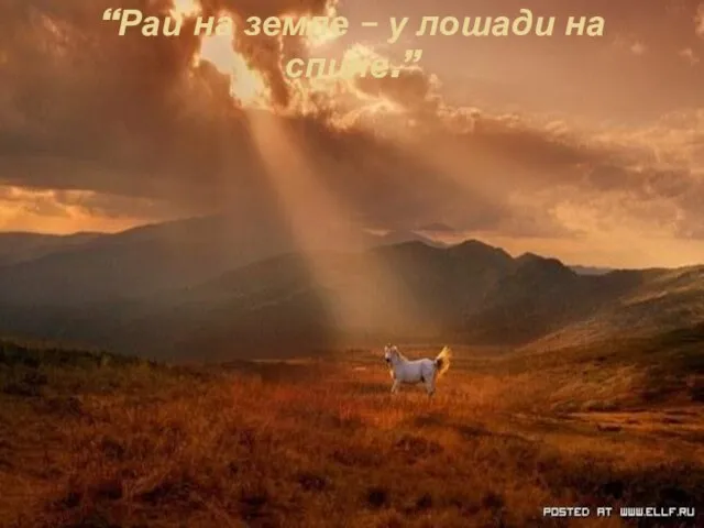 “Рай на земле – у лошади на спине.”