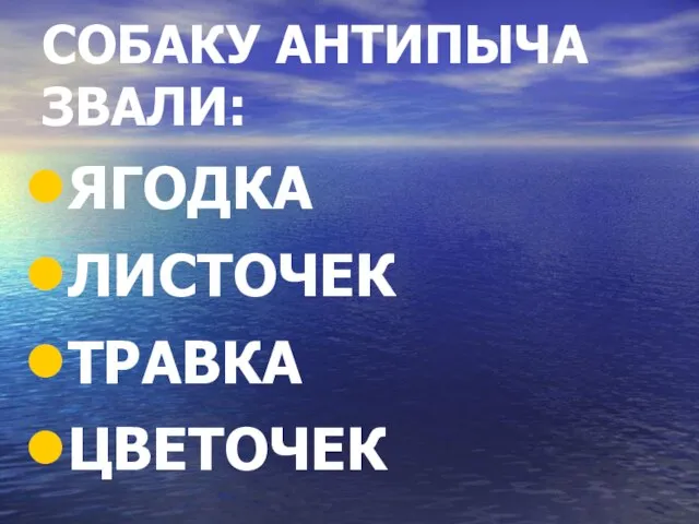 СОБАКУ АНТИПЫЧА ЗВАЛИ: ЯГОДКА ЛИСТОЧЕК ТРАВКА ЦВЕТОЧЕК