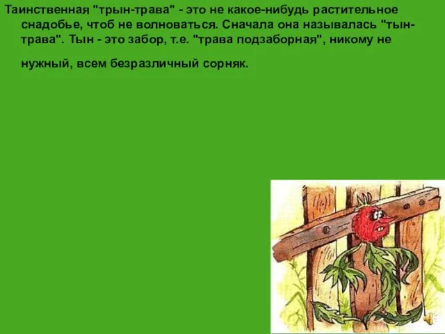 Таинственная "трын-трава" - это не какое-нибудь растительное снадобье, чтоб не волноваться.