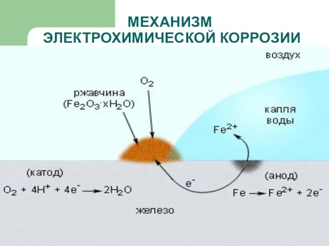 МЕХАНИЗМ ЭЛЕКТРОХИМИЧЕСКОЙ КОРРОЗИИ