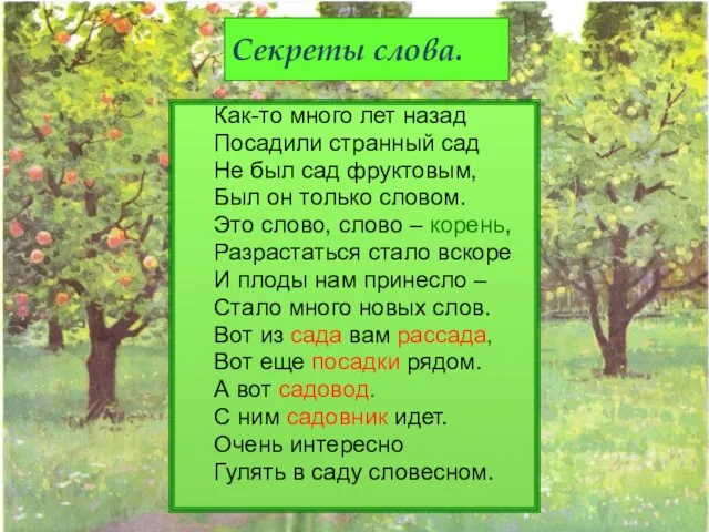 Секреты слова. Как-то много лет назад Посадили странный сад Не был