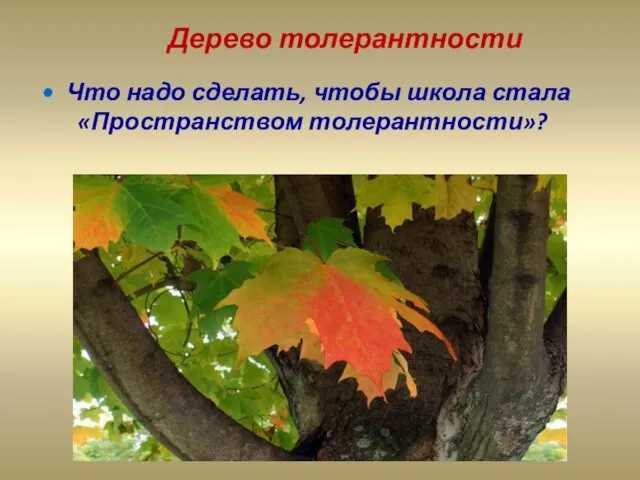 Дерево толерантности Что надо сделать, чтобы школа стала «Пространством толерантности»?