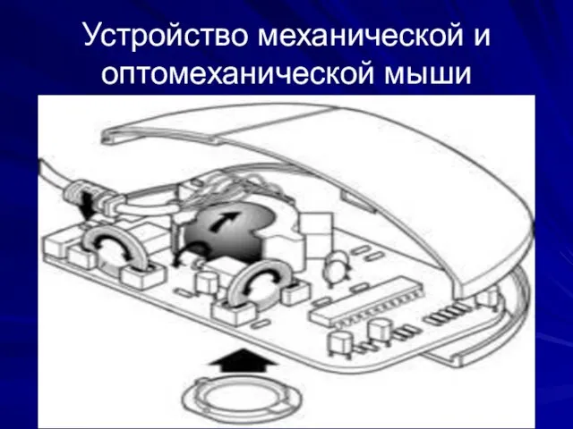 Устройство механической и оптомеханической мыши