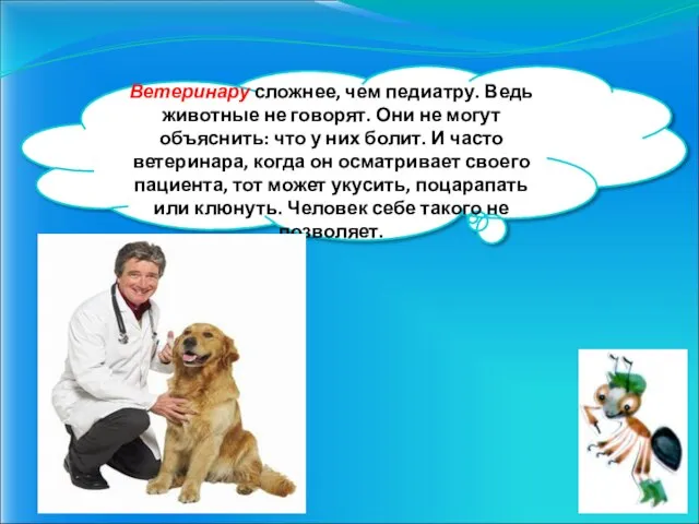 Ветеринару сложнее, чем педиатру. Ведь животные не говорят. Они не могут