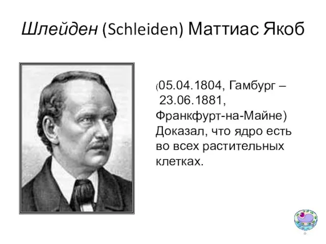 Шлейден (Schleiden) Маттиас Якоб (05.04.1804, Гамбург – 23.06.1881, Франкфурт-на-Майне) Доказал, что