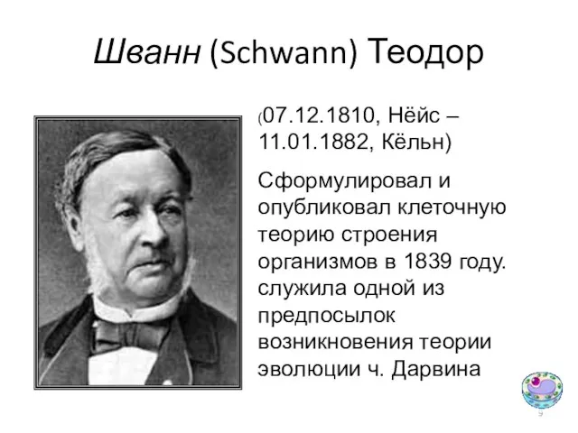 Шванн (Schwann) Теодор (07.12.1810, Нёйс – 11.01.1882, Кёльн) Сформулировал и опубликовал