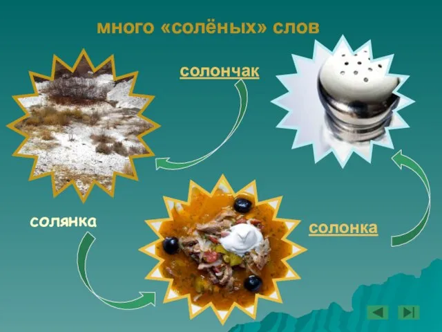 много «солёных» слов солонка солянка солончак