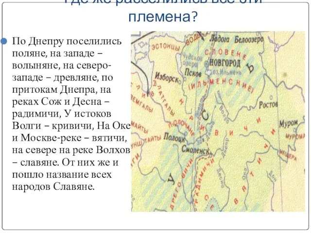 Где же расселились все эти племена? По Днепру поселились поляне, на