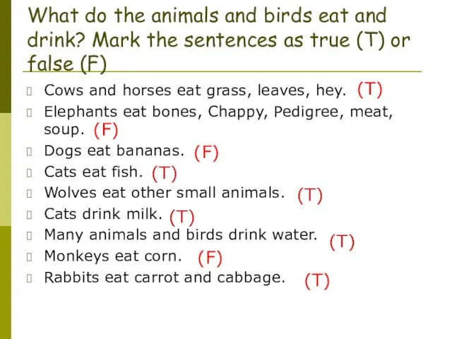 What do the animals and birds eat and drink? Mark the