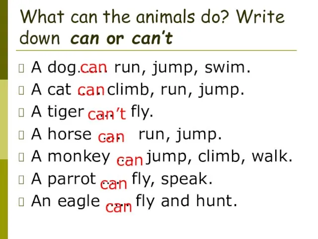 What can the animals do? Write down can or can’t A