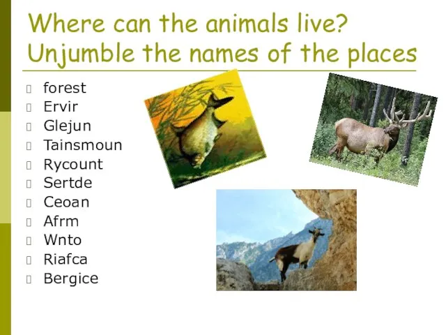 Where can the animals live? Unjumble the names of the places