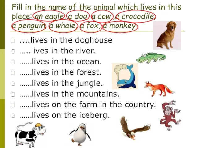 Fill in the name of the animal which lives in this