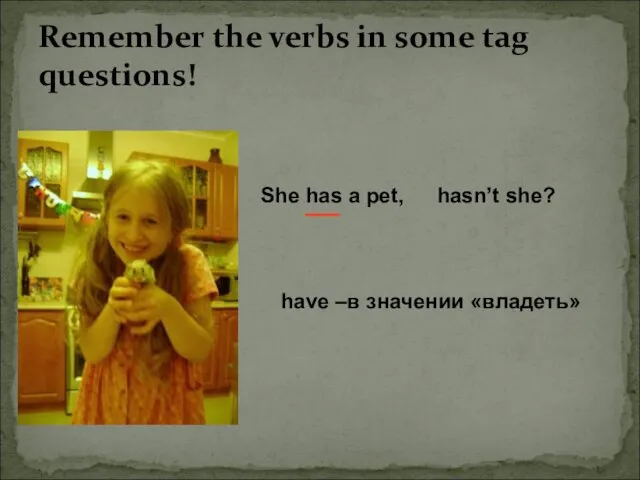 Remember the verbs in some tag questions! She has a pet,