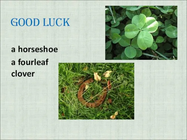 Good luck a horseshoe a fourleaf clover