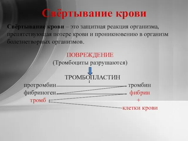 Свёртывание крови Свёртывание крови – это защитная реакция организма, препятствующая потере