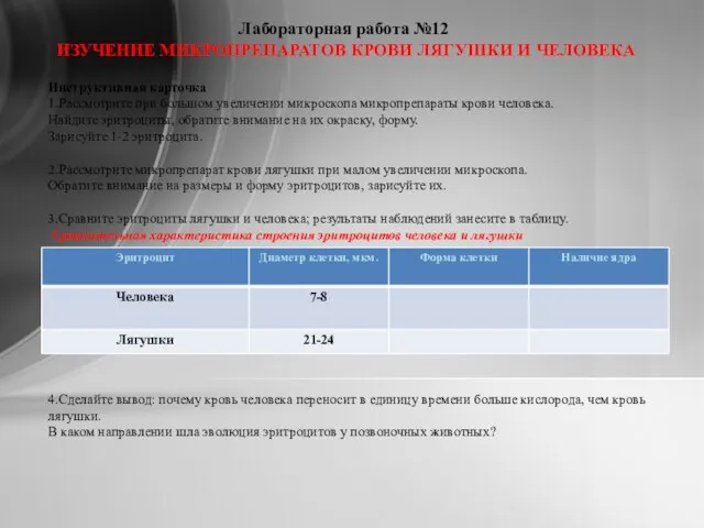 Лабораторная работа №12 ИЗУЧЕНИЕ МИКРОПРЕПАРАТОВ КРОВИ ЛЯГУШКИ И ЧЕЛОВЕКА Инструктивная карточка