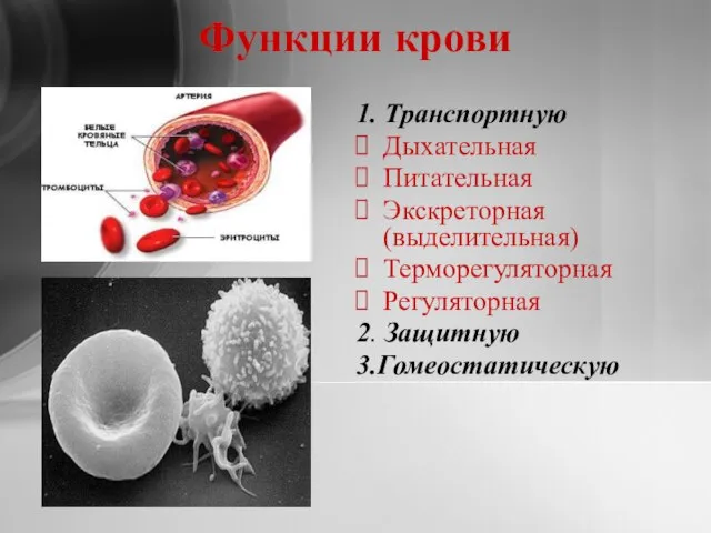 Функции крови 1. Транспортную Дыхательная Питательная Экскреторная (выделительная) Терморегуляторная Регуляторная 2. Защитную 3.Гомеостатическую