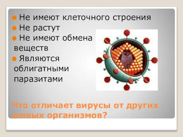 Что отличает вирусы от других живых организмов? Не имеют клеточного строения