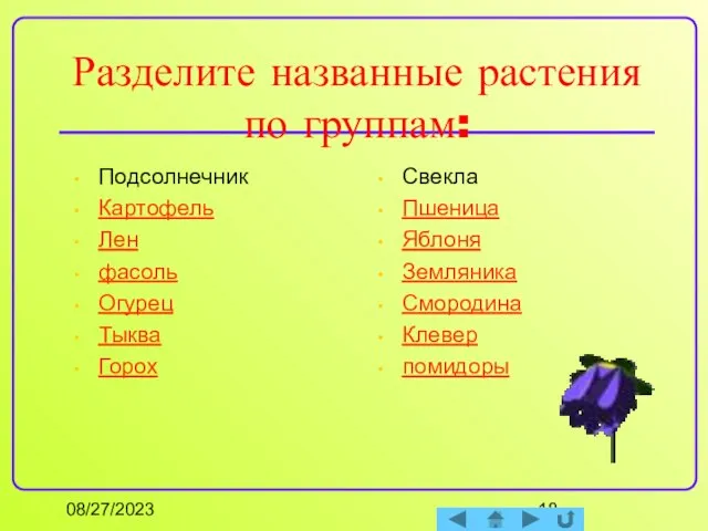 08/27/2023 Разделите названные растения по группам: Подсолнечник Картофель Лен фасоль Огурец