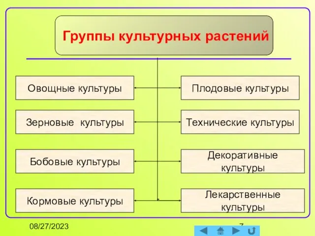 08/27/2023 Группы культурных растений Овощные культуры Зерновые культуры Декоративные культуры Технические