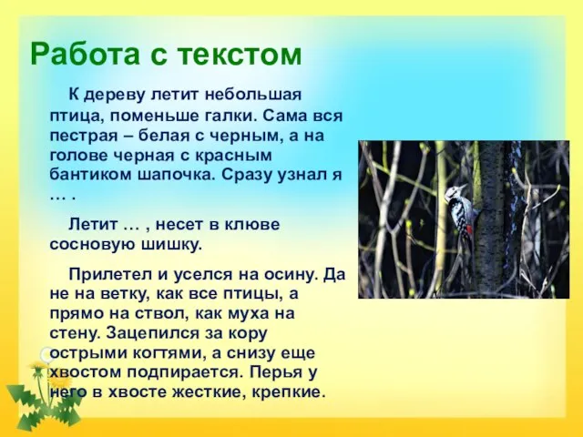 Работа с текстом К дереву летит небольшая птица, поменьше галки. Сама