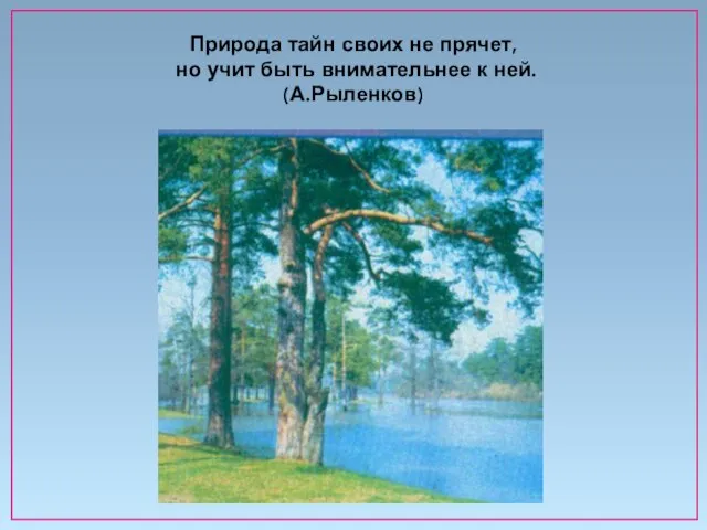 Природа тайн своих не прячет, но учит быть внимательнее к ней. (А.Рыленков)