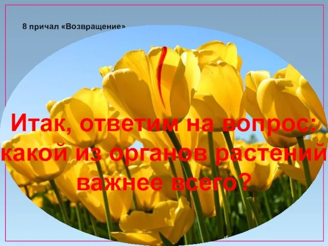 8 причал «Возвращение» Итак, ответим на вопрос: какой из органов растений важнее всего?