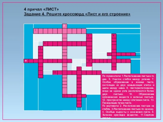 По горизонтали: 1.Расположение листьев по два. 5. Участок стебля между узлами.