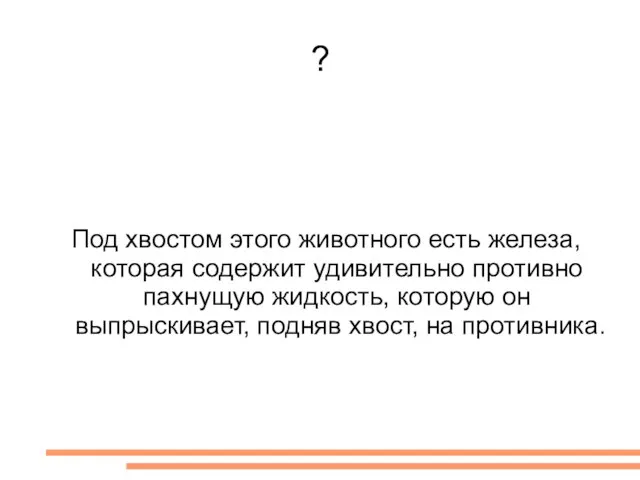 ? Под хвостом этого животного есть железа, которая содержит удивительно противно