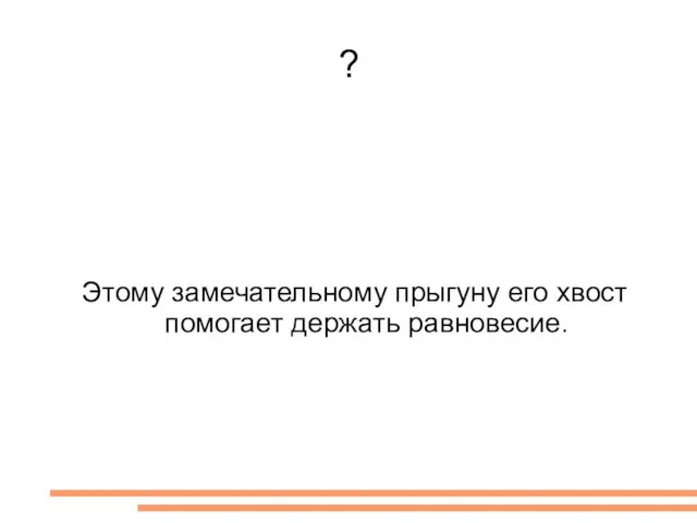 ? Этому замечательному прыгуну его хвост помогает держать равновесие.