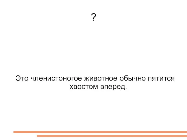 ? Это членистоногое животное обычно пятится хвостом вперед.