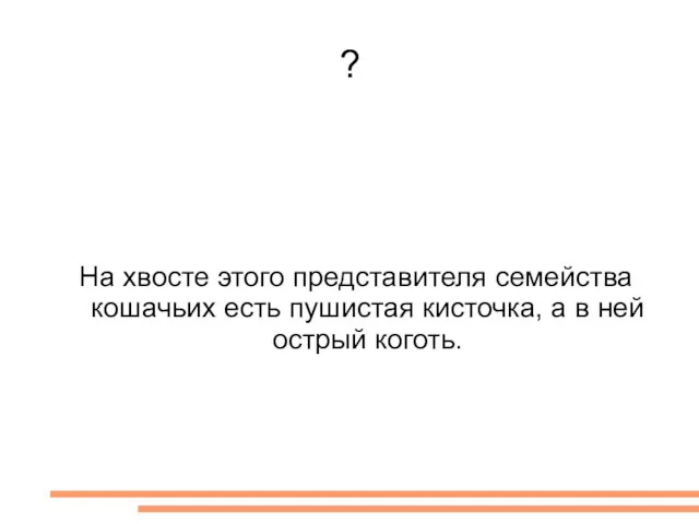 ? На хвосте этого представителя семейства кошачьих есть пушистая кисточка, а в ней острый коготь.