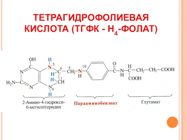 ТЕТРАГИДРОФОЛИЕВАЯ КИСЛОТА (ТГФК - Н4-ФОЛАТ)