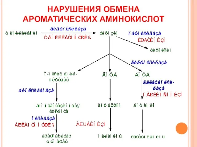 НАРУШЕНИЯ ОБМЕНА АРОМАТИЧЕСКИХ АМИНОКИСЛОТ