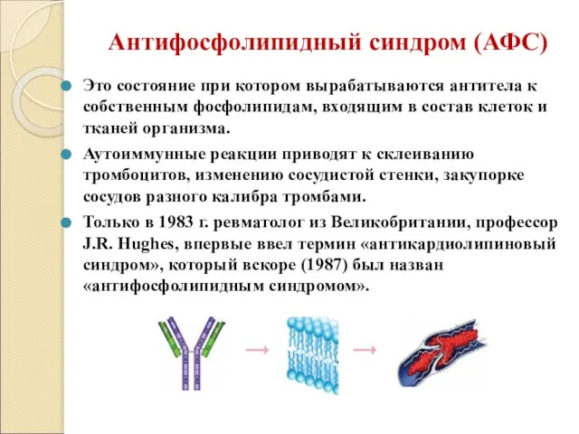 Антифосфолипидный синдром (АФС) Это состояние при котором вырабатываются антитела к собственным