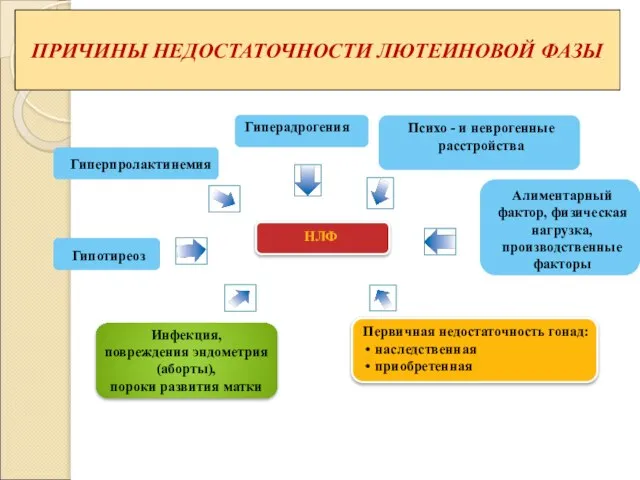 ПРИЧИНЫ НЕДОСТАТОЧНОСТИ ЛЮТЕИНОВОЙ ФАЗЫ НЛФ Гиперпролактинемия Гиперадрогения Гипотиреоз Инфекция, повреждения эндометрия