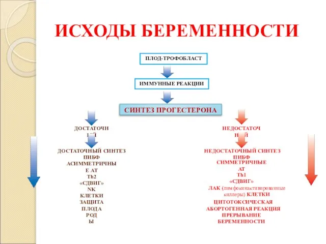 ИСХОДЫ БЕРЕМЕННОСТИ ПЛОД-ТРОФОБЛАСТ ИММУННЫЕ РЕАКЦИИ СИНТЕЗ ПРОГЕСТЕРОНА НЕДОСТАТОЧНЫЙ ДОСТАТОЧНЫЙ НЕДОСТАТОЧНЫЙ СИНТЕЗ