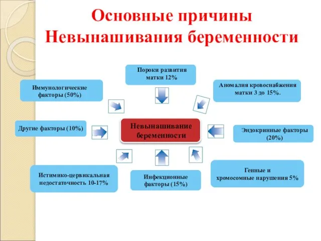 Невынашивание беременности Иммунологические факторы (50%) Пороки развития матки 12% Другие факторы